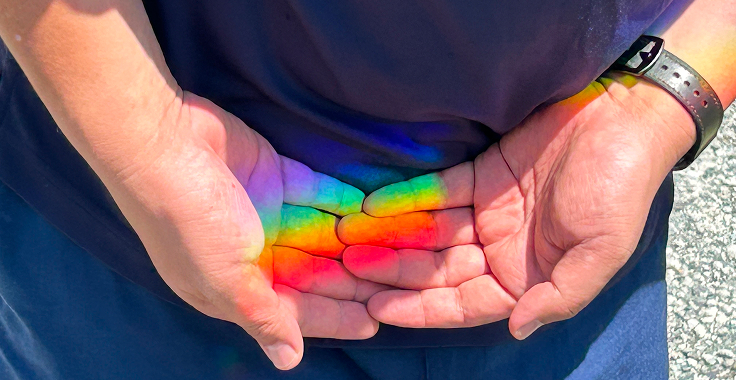 ポトガラヒーファミリー