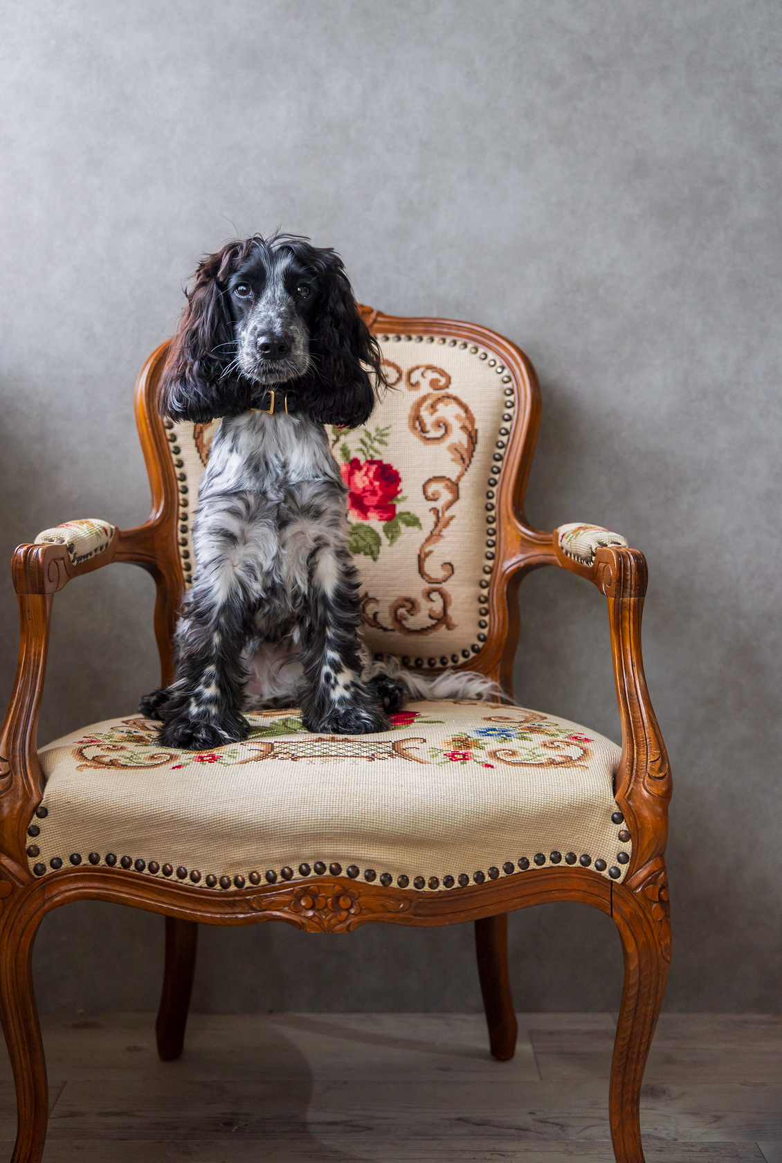 山田彩乃のポートフォリオ・撮影実績