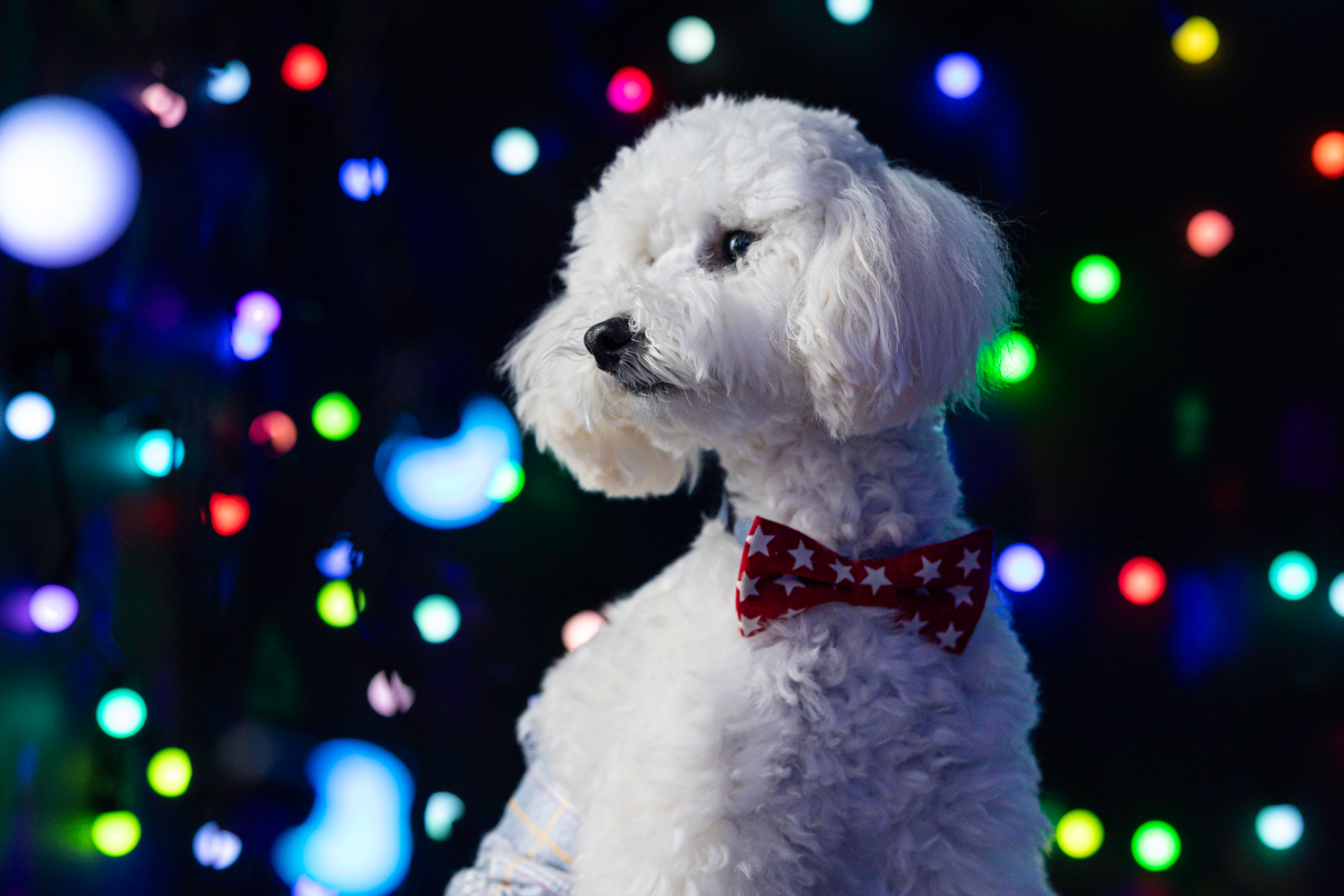 ムツムツ家族撮影